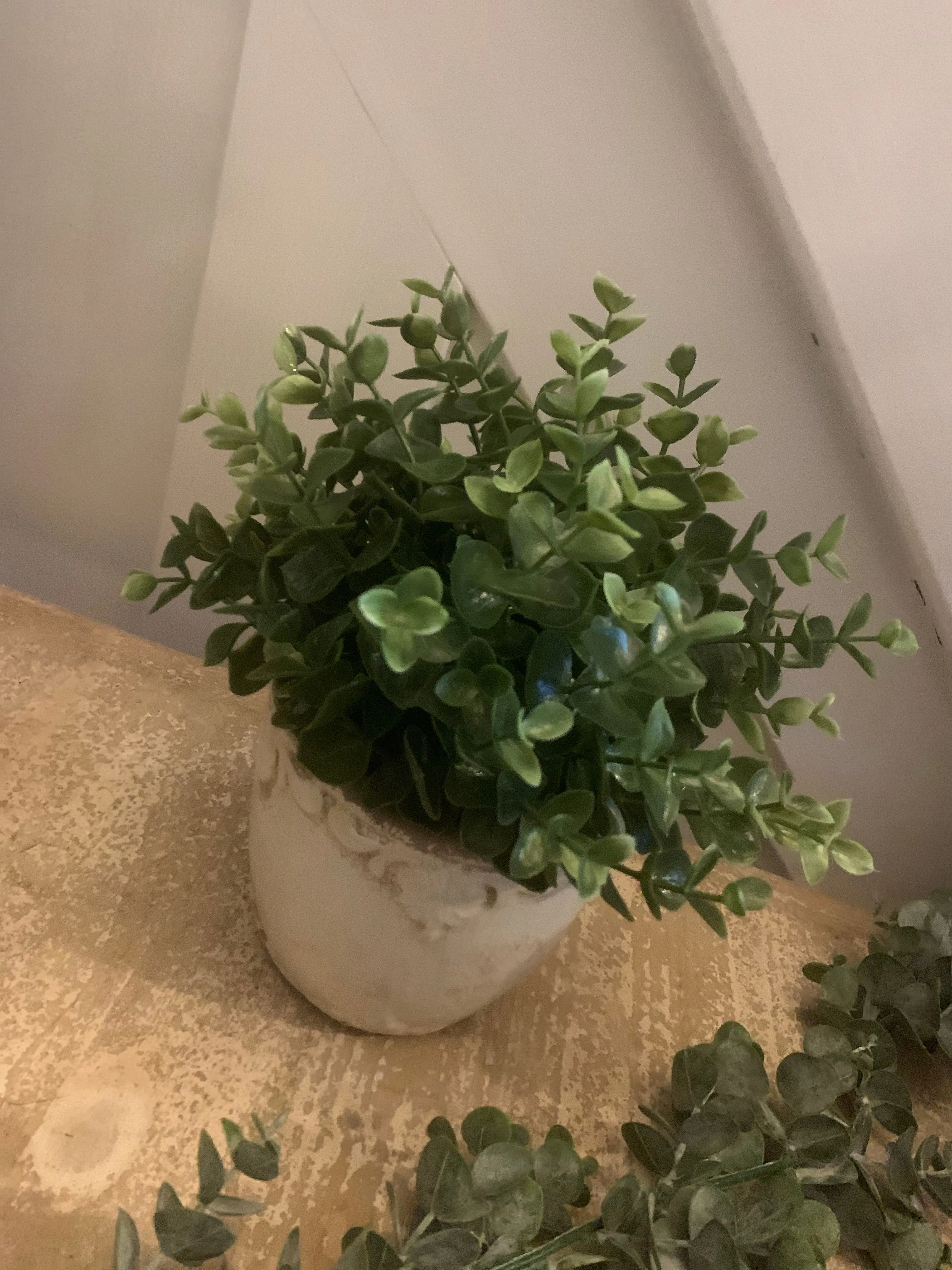 Artificial plants - various styles