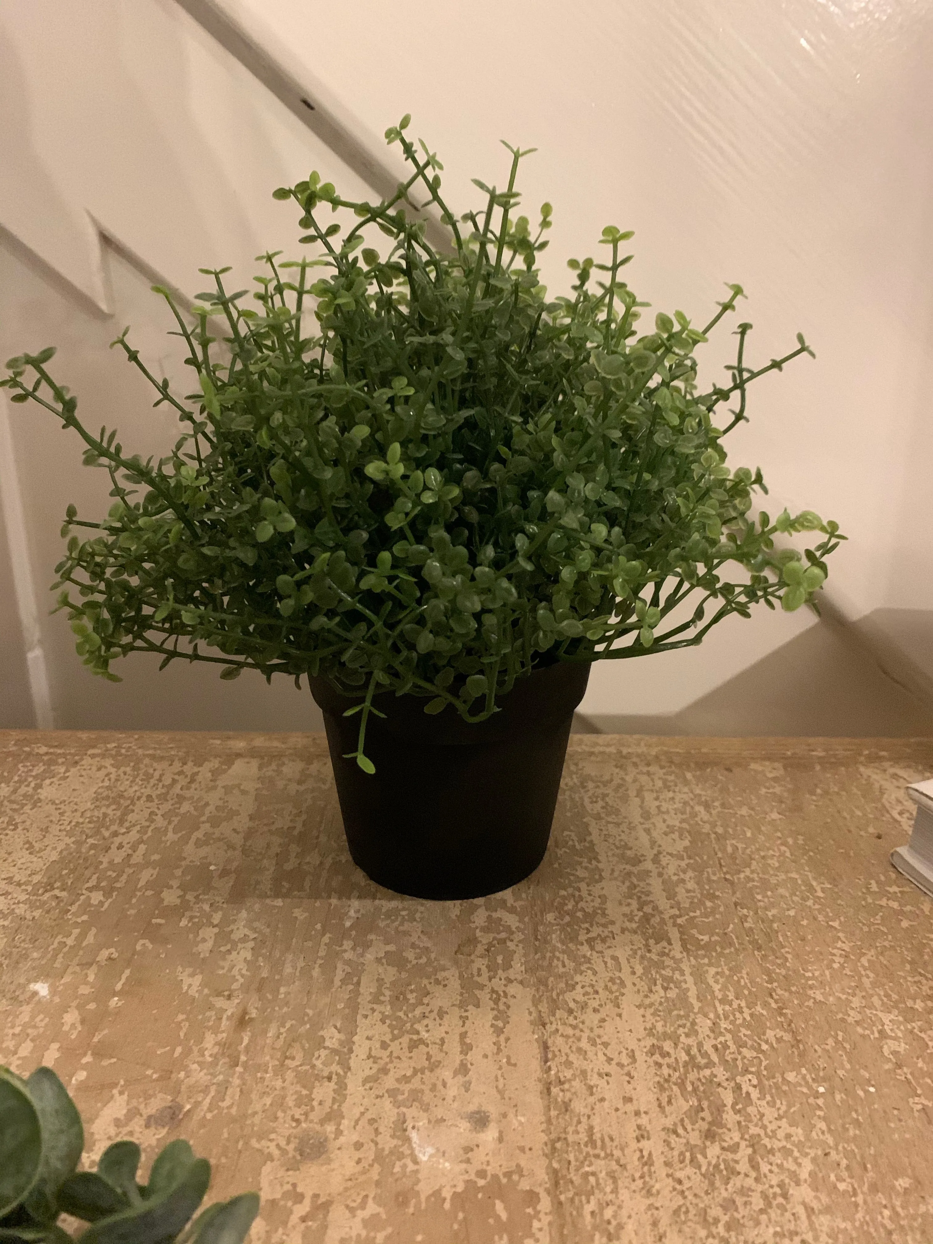 Artificial plants - various styles