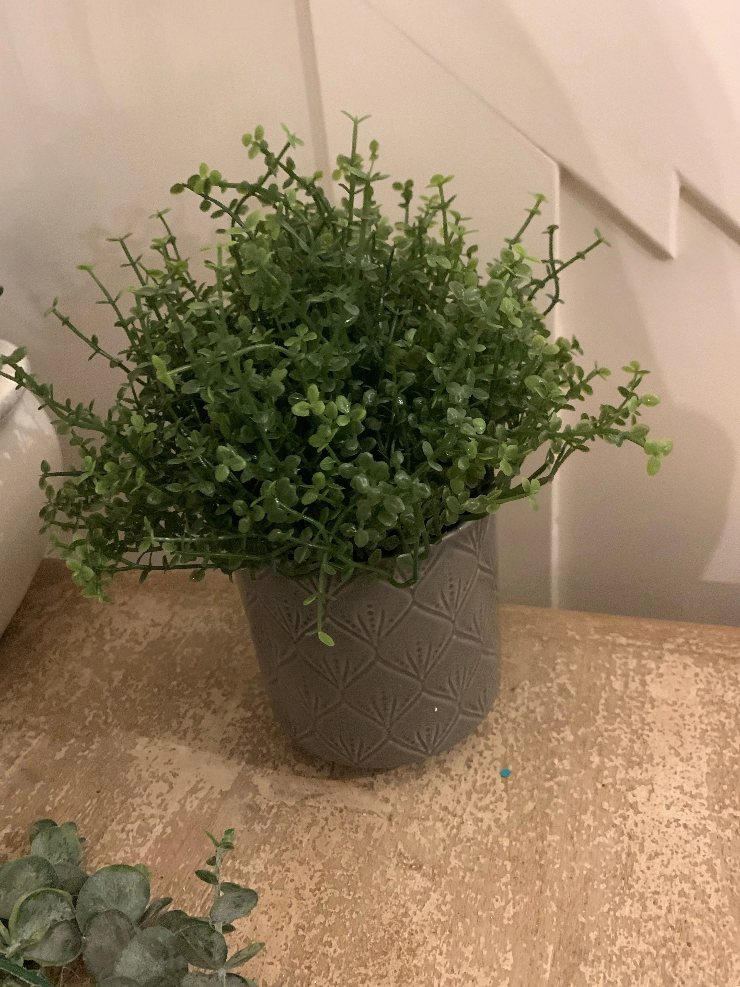 Artificial plants - various styles