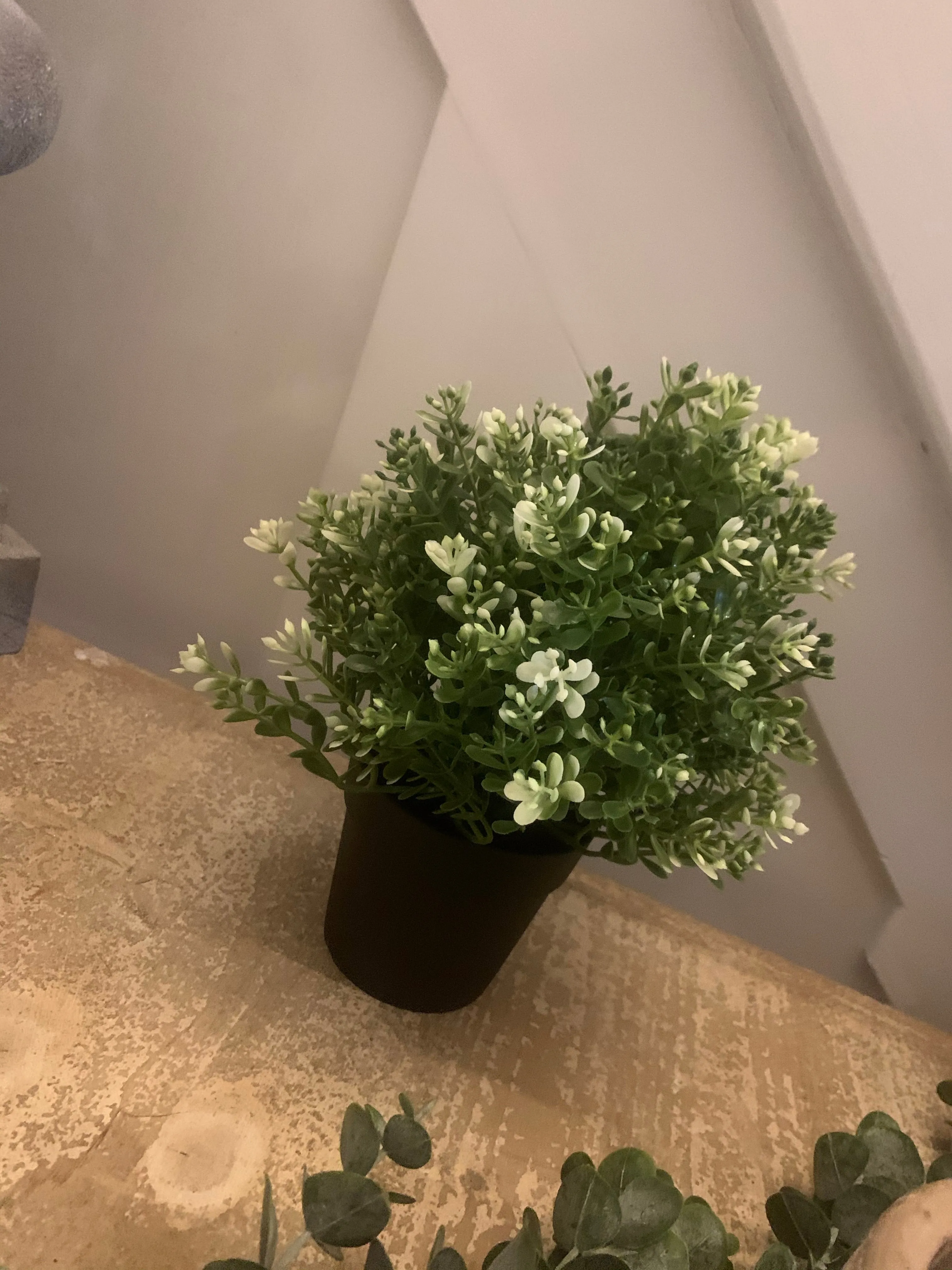 Artificial plants - various styles